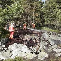 einsatz25202206.jpg