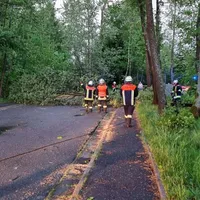 einsatz14202207.jpg