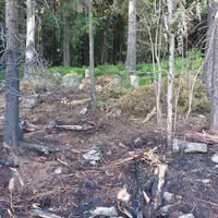 einsatz26202202.jpg