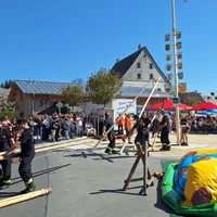 maibaum202504.jpg