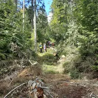 einsatz50202210.jpg