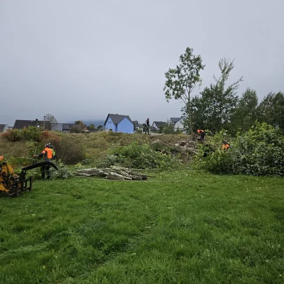 fwhausbau0410202501.jpg