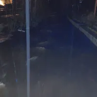 einsatz01202301.jpg