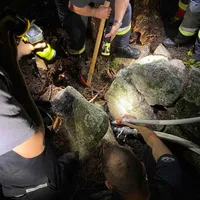 einsatz44202206.jpg