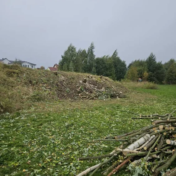 fwhausbau0410202503.jpg