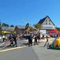 maibaum202503.jpg