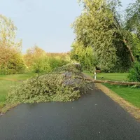 einsatz14202203.jpg